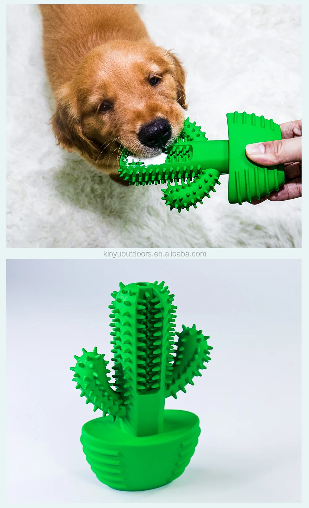 Non Toxic Natural Rubber Green Cactus Shape Teeth Cleaning Dog Squeaky