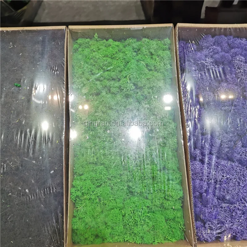 High Quality Preserved Moss In Box Preserved Plants For Decor Flower