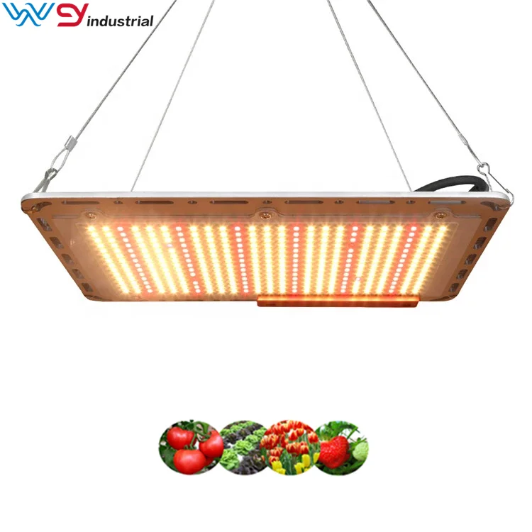 2020 New Design LM301B Sumsung Chip 110W Led Grow Light Hydroponic