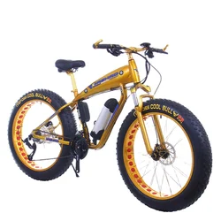 fat bike-electric 20 electric bike 1000w mountain snow bike tire bycyle