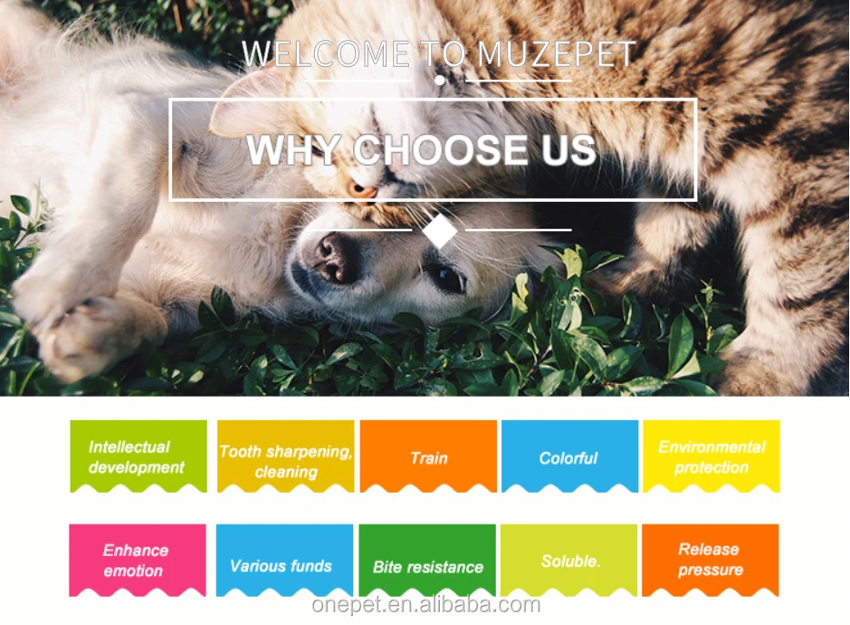 small animals for sale online