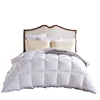 Super September Quick Shipping White Comforter Goose Down Quilt