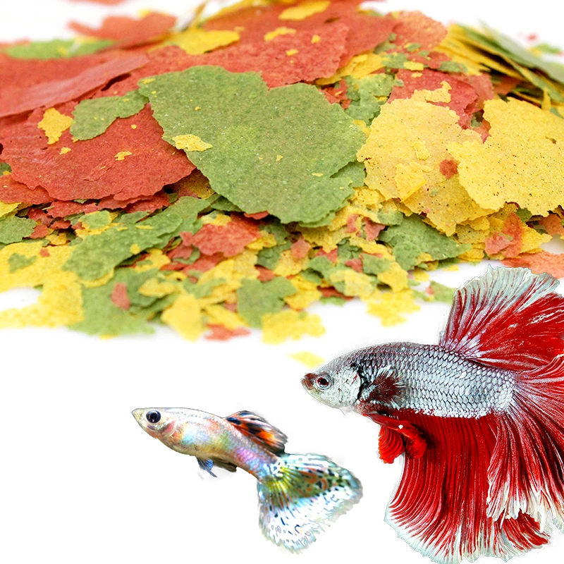 bulk tropical fish food flakes