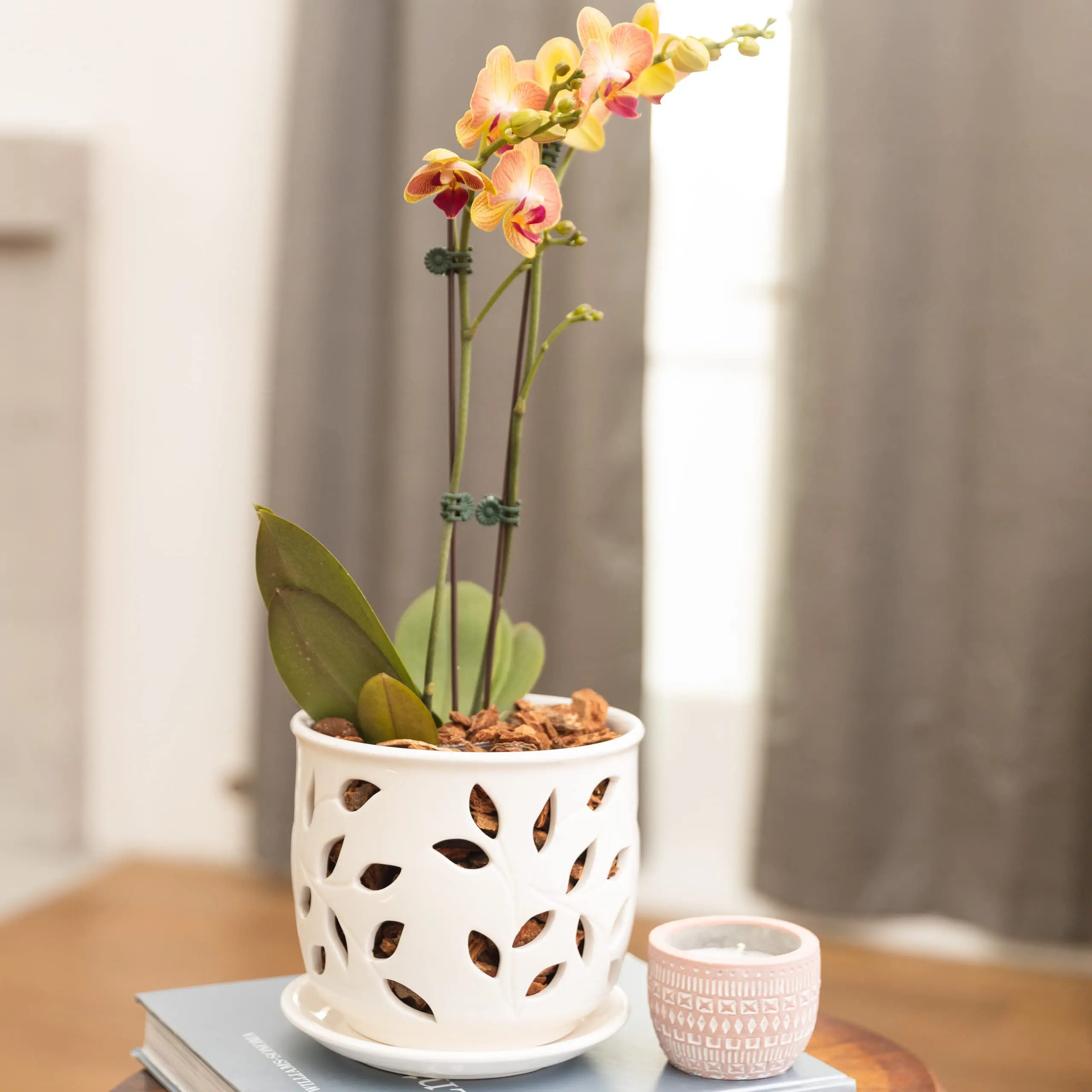 Ceramic Orchid Pot With Holes & Saucer 6.5" - Attractive Floral Design,Decorative Large Size,Easy Plant for Home Decor manufacture