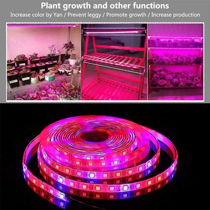 2020 best LED grow light fixture plant grow light for indoor plants growth light 2835 5050 outdoor plant grow led lighting