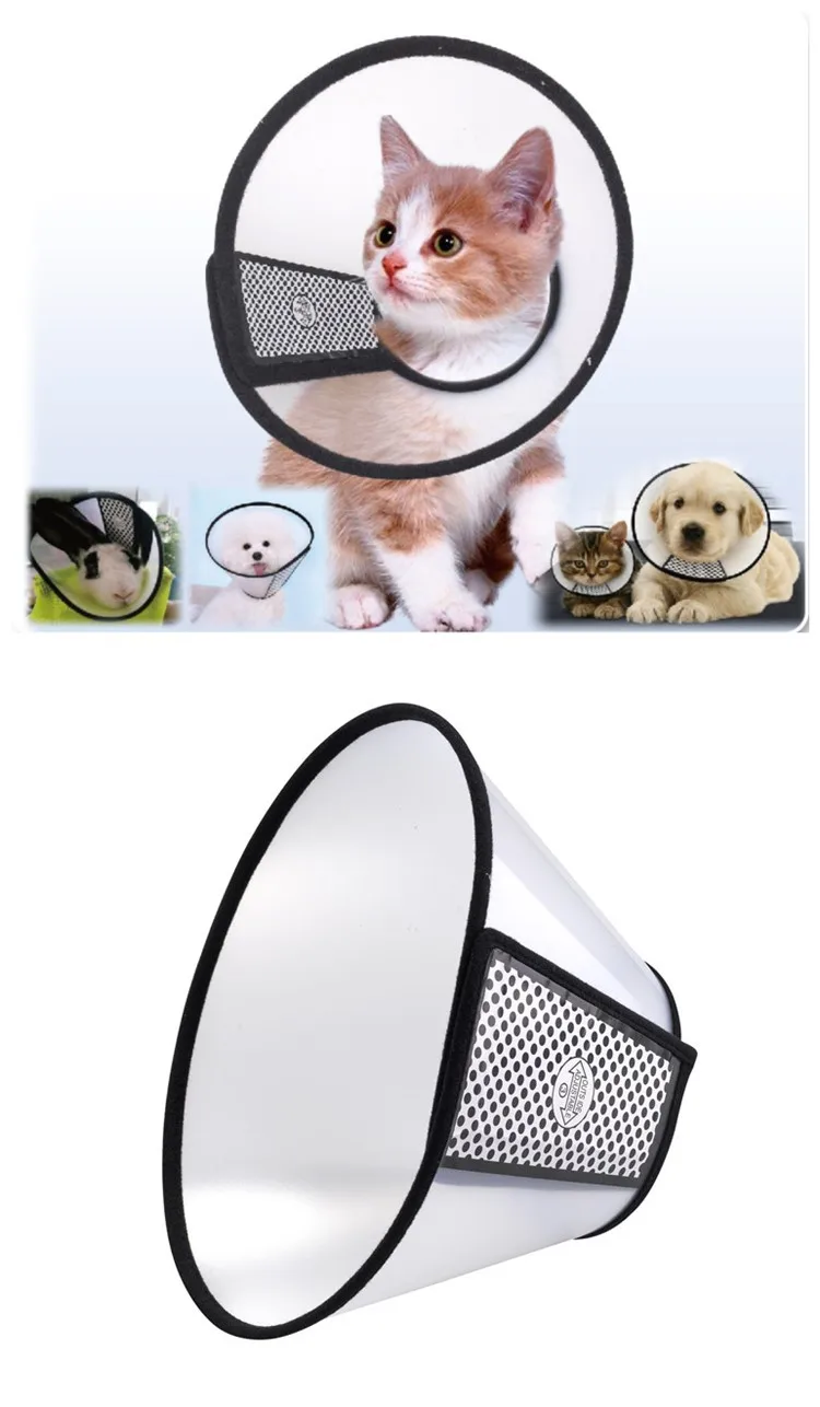 Collier Electrique En Plastique Pour Chien 5 Pieces Accessoire De Recuperation Pour Animaux Domestiques Protection De Guerison Vente En Gros Buy Collier Elisabethain Collier Elisabethain Pour Chien Collier Electronique Product On Alibaba Com