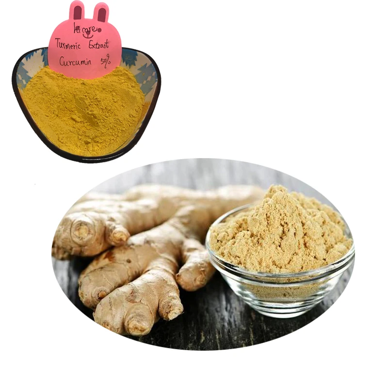 Pharmaceutical Grade Curcuma extract