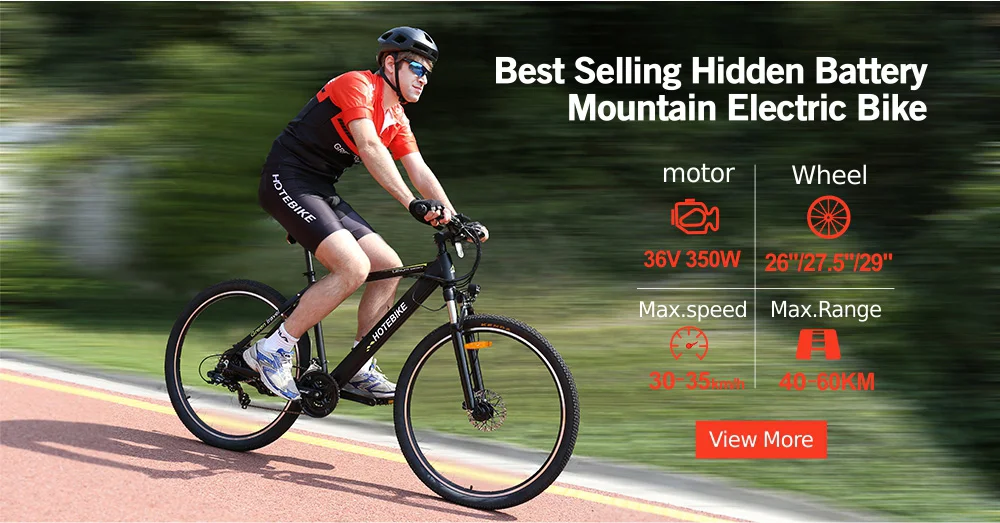 electric bicycle ebike