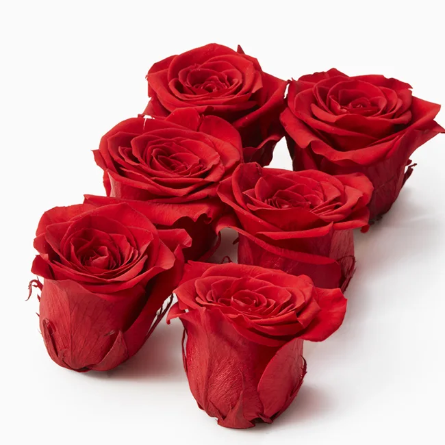 wholesale preserved quality real touch flower dried flower rose