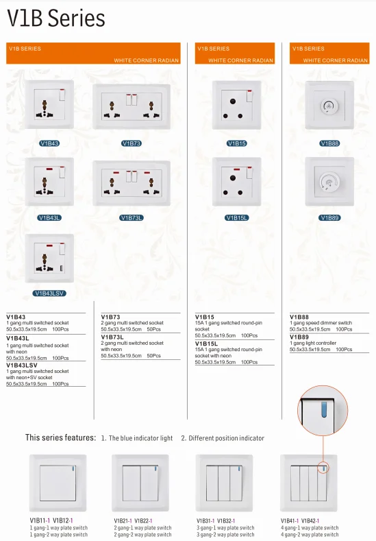 VNX Best Selling 2 Gang Multi Switched Socket Wholesale Home Using Electrical Switch and Socket 250V