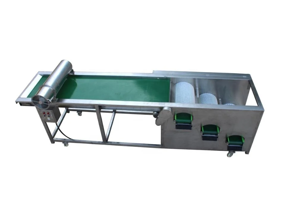 顶级品质迷你小水果食品牛油果分选机