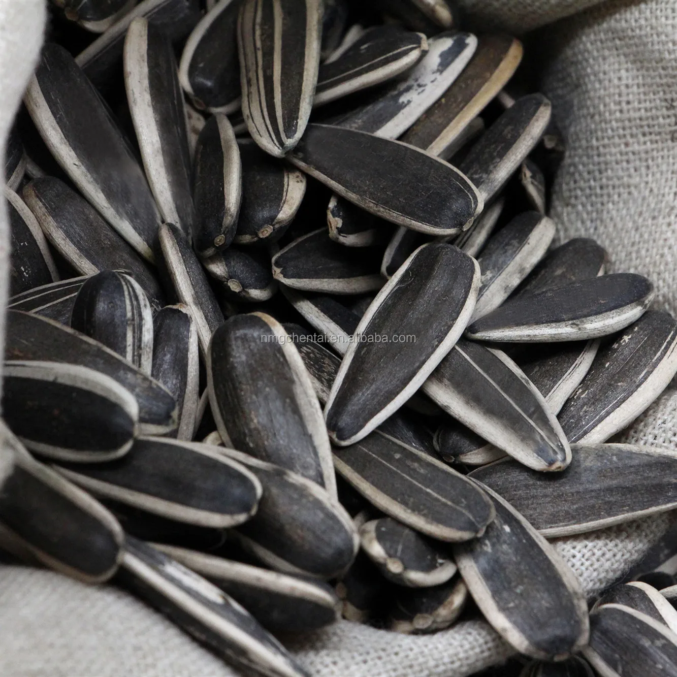 2020 Top Quality Black Long Type Edible Sunflower Seeds 363 Buy