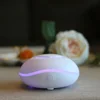 Best Quality Newest Hotel Ultrasonic Perfume Battery Aroma Air Car Diffuser Empty