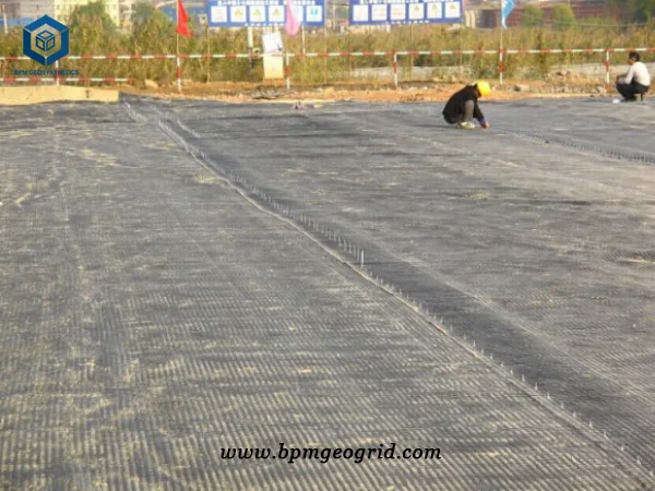 Geogrid and Geotextile 