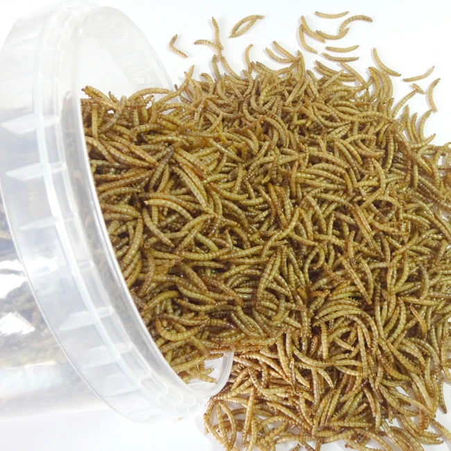 
Top Rated Hot Selling Wholesale High Quality High Nutrition High Protein Feeding Grade Dried Mealworm In Tub For Small Animals 