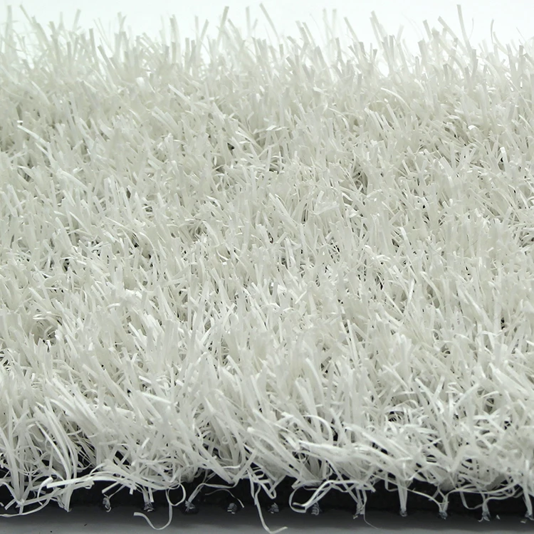 white snow grass.jpg