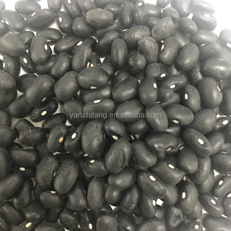 black bean and kidney bean price