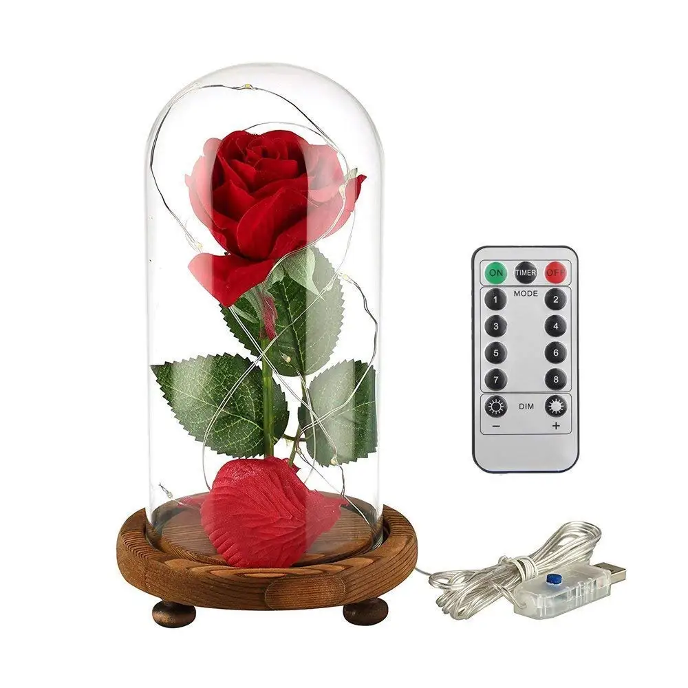 Beauty and The Beast Rose LED Light with Fallen Petals in Glass Dome on a Wooden Base, Gift for Her miracle roses with inscribed