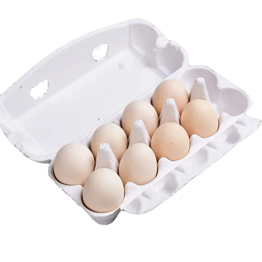 White 10 Eggs Protection Egg Corrugated Pulp White Pulp Environmental ...