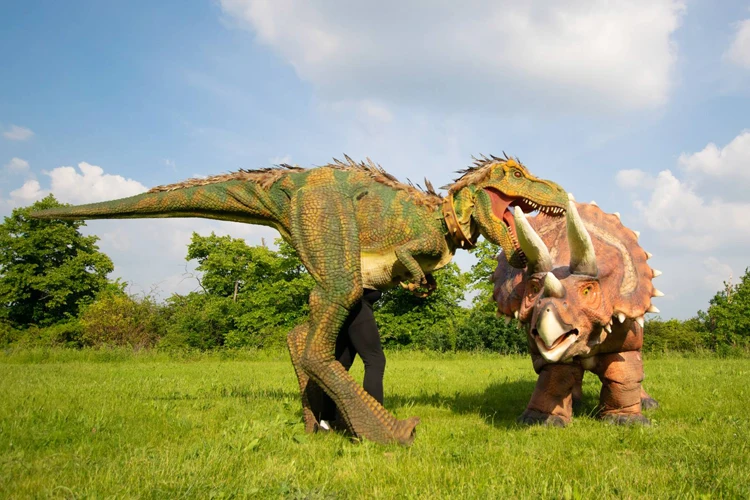 真正的步行咆哮 t 雷克斯恐龙王吉祥物服装出售 - buy dinosaur