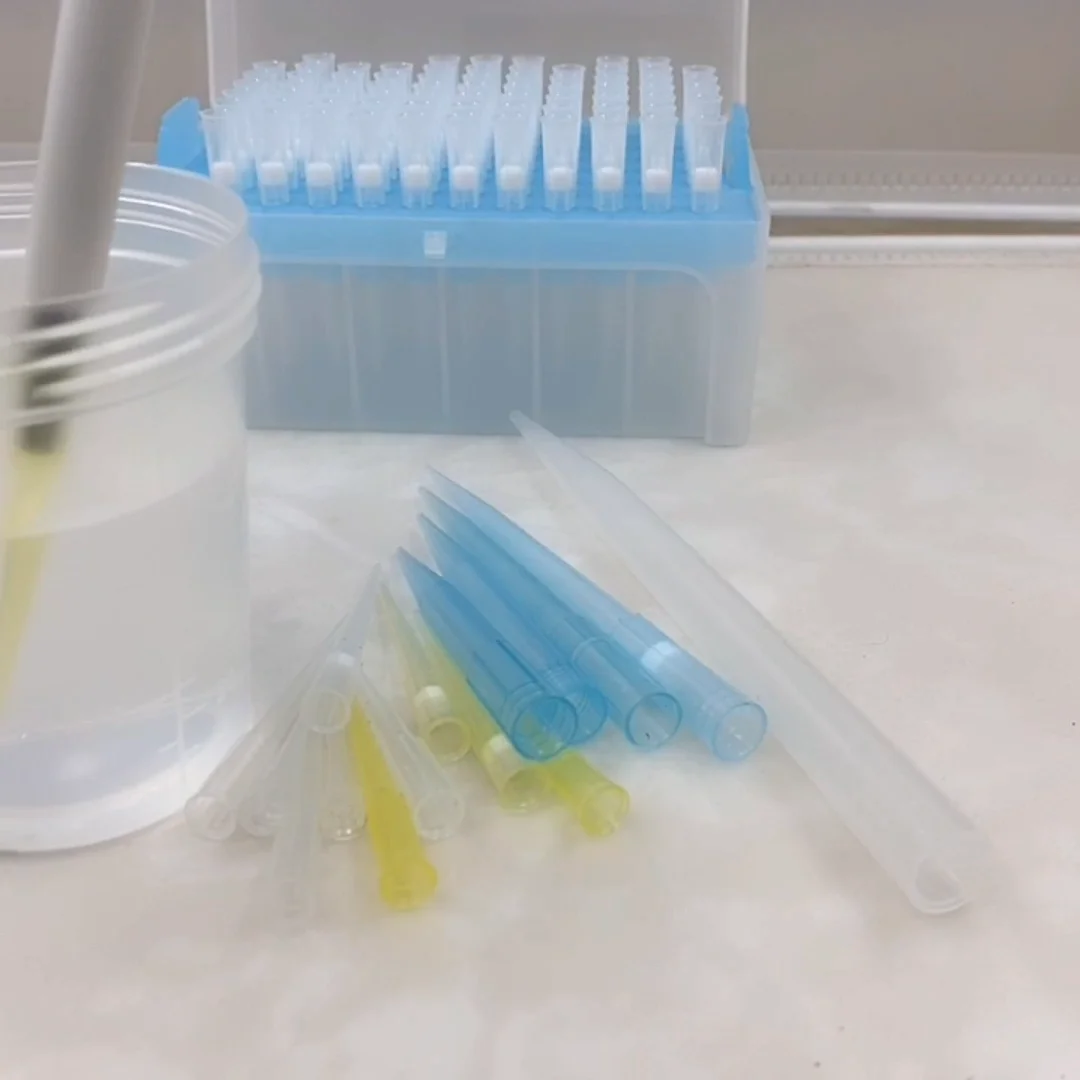 Pipette Tips With Filter Sterile 10ul 20ul 100ul 200ul 1000ul Filter