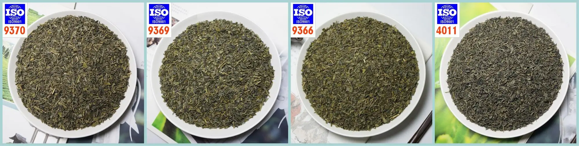 chunmee tea 2.jpg