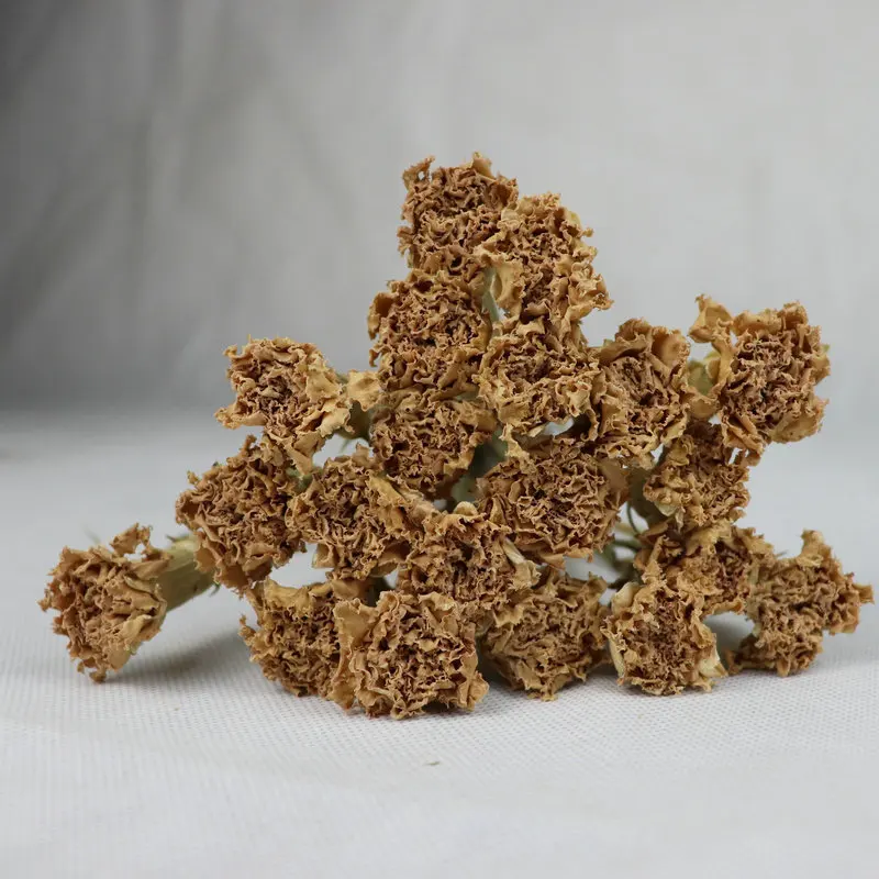 Classical Style Dried Carnation Flowers Dianthus Caryophyllus For Home Decorations Buy