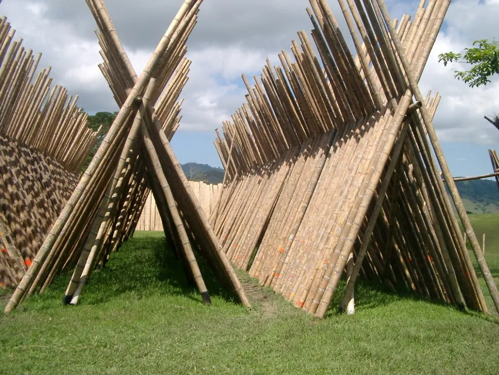 Large Bamboo Sticks Raw Big Bamboo Poles Wholesale Bamboo Canes Poles