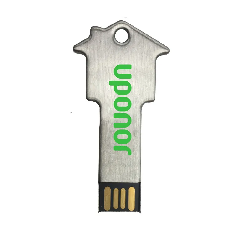house usb key (24)