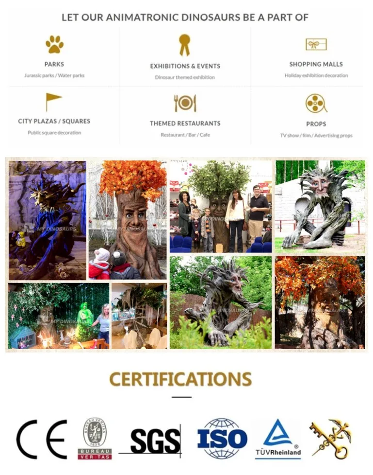 AP certificate.jpg