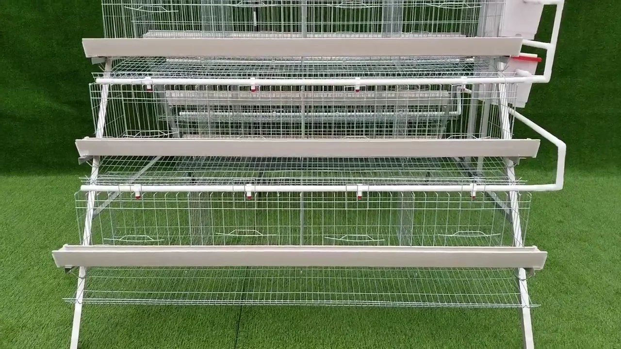 Nigeria Cheap Anti-rusted A Type Egg Layer Chicken Cages For Sale - Buy ...