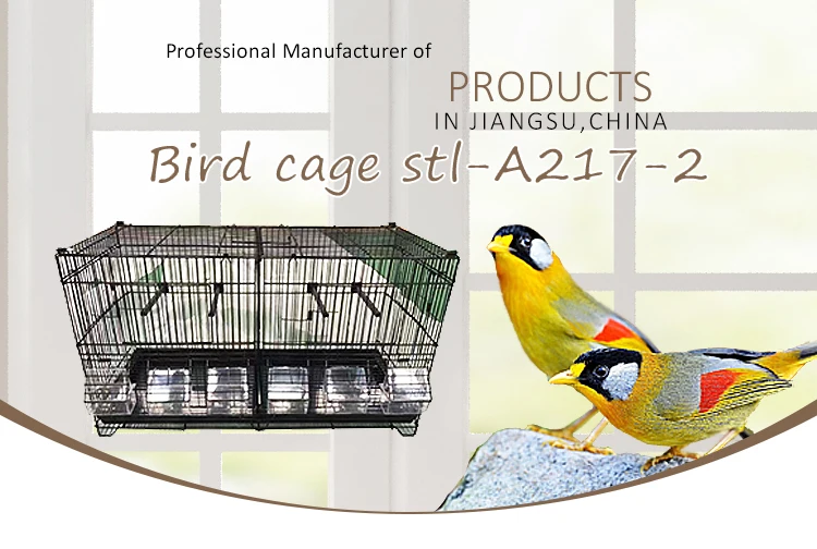 small bird cages wholesale