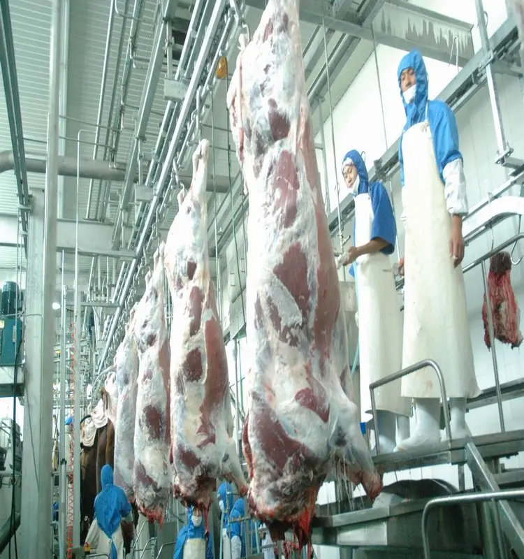 Halal cattle slaughtering equipment production line (suitable for slaughterhouses)