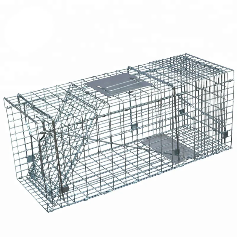 31x13x10" Live Humane Assembly Possum Trap Cat Trap Raccoon Trap Buy