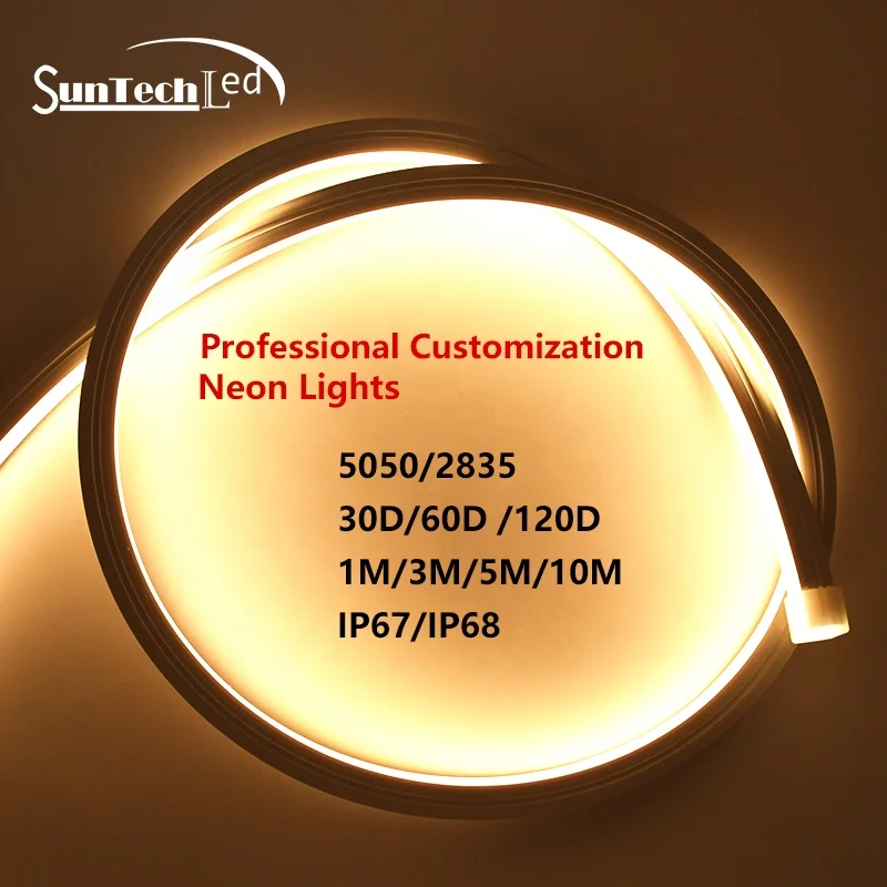 Professional customization Low voltage light strip 5050/2835 30leds/m 60leds/ 120leds/m IP67/IP68 led neon lights strip