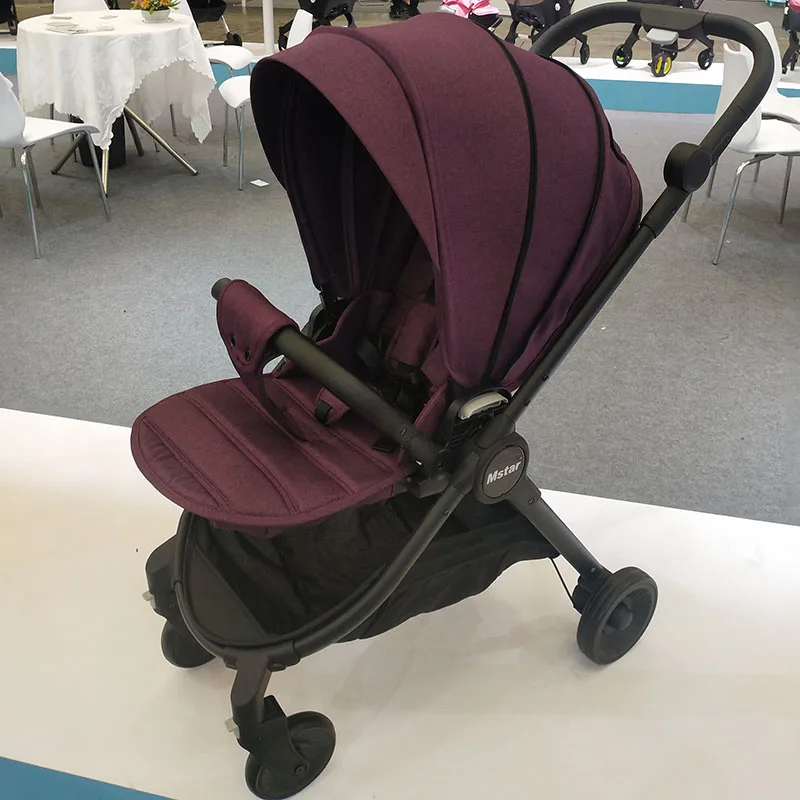 chicco stroller for 2