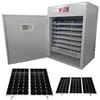 /product-detail/automatic-egg-incubators-1056pcs-great-quality-egg-hatching-machine-price-solar-duck-egg-incubator-62335946987.html