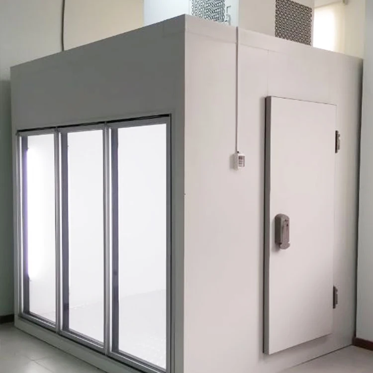 The Last Day S Special Offer pvc curtain cold room blast freezer cold room