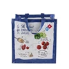 OEM Color Logo Nonwoven Pet Tote Bag/Nonwoven Giveaway Tote Bag/Nonwoven Cheap Shopping Tote Bag