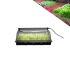 /product-detail/china-1020-pots-led-kits-plastic-greenhouses-strawberry-cultivation-agriculture-hydroponic-black-seed-tray-for-nursery-plants-62115103395.html