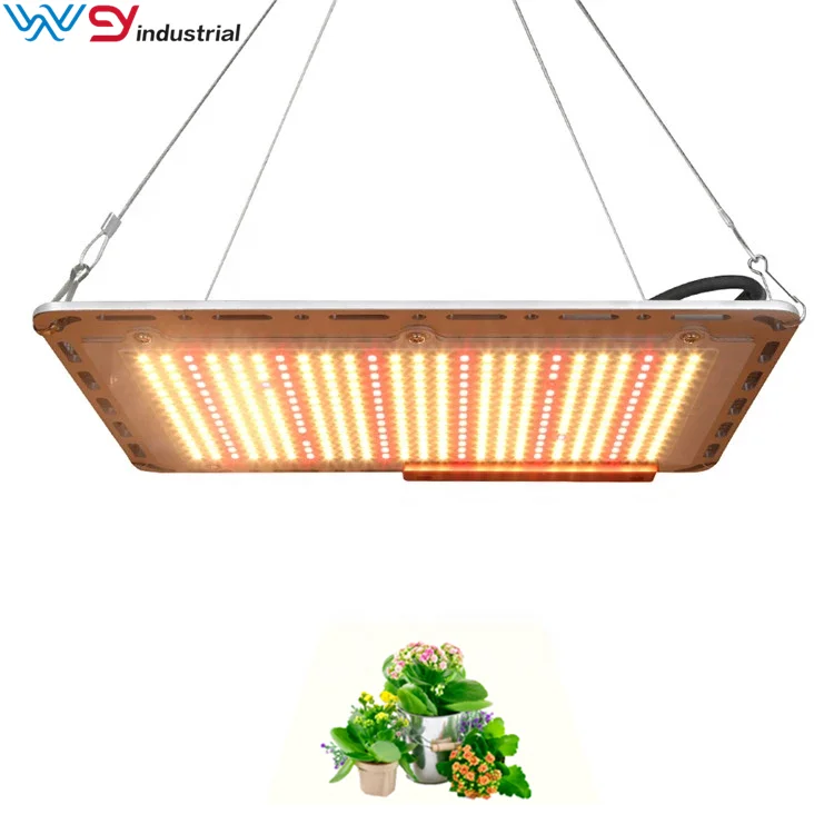 Wenyi 110w 220w Led Grow Light Hanging Wire For Grow Lamps