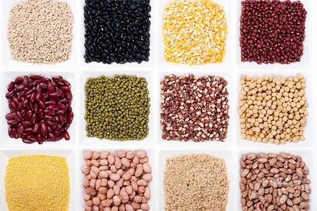 iso certified bio-rhizo rhizobium biofertilizer pow