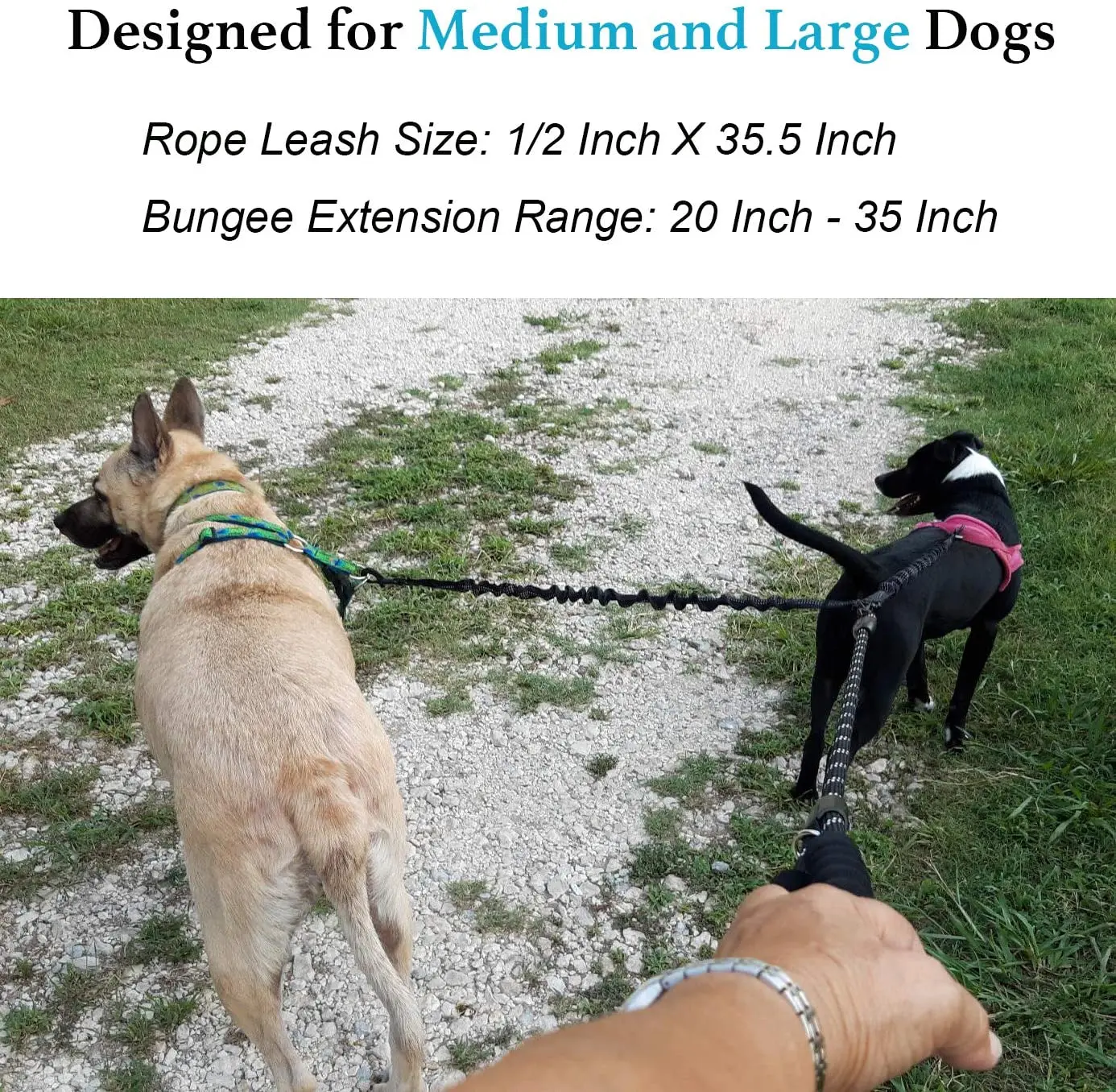 dog leash for large dogs