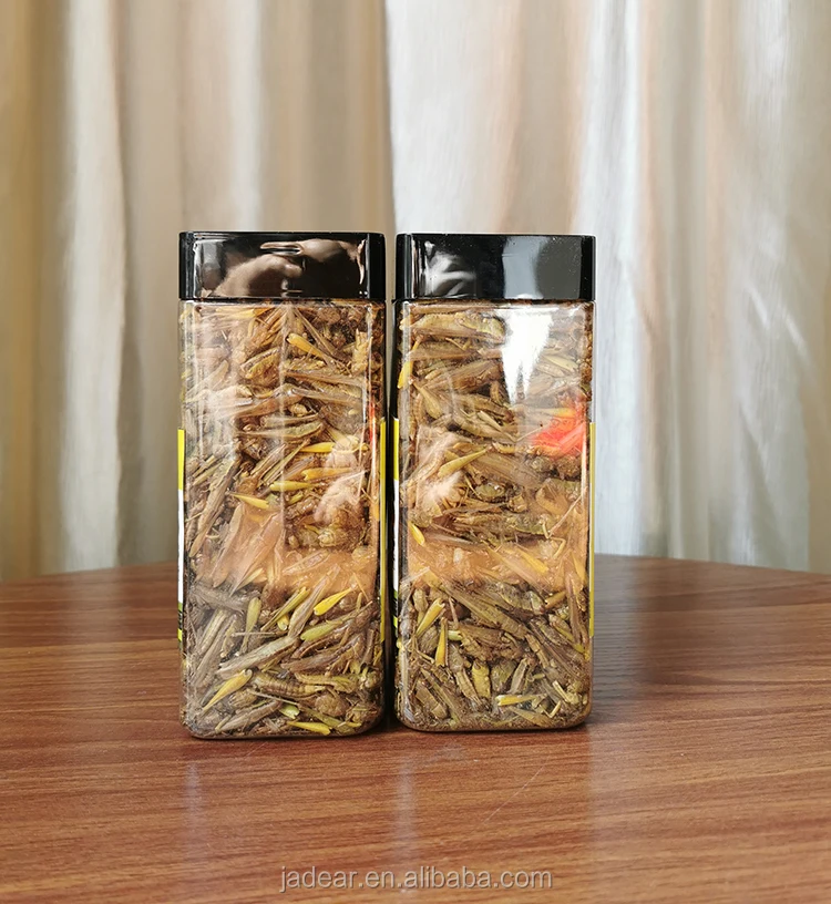 Dried Grasshopper,Freeze Dried Locusts - Buy Freeze Dried Locusts,Pet ...