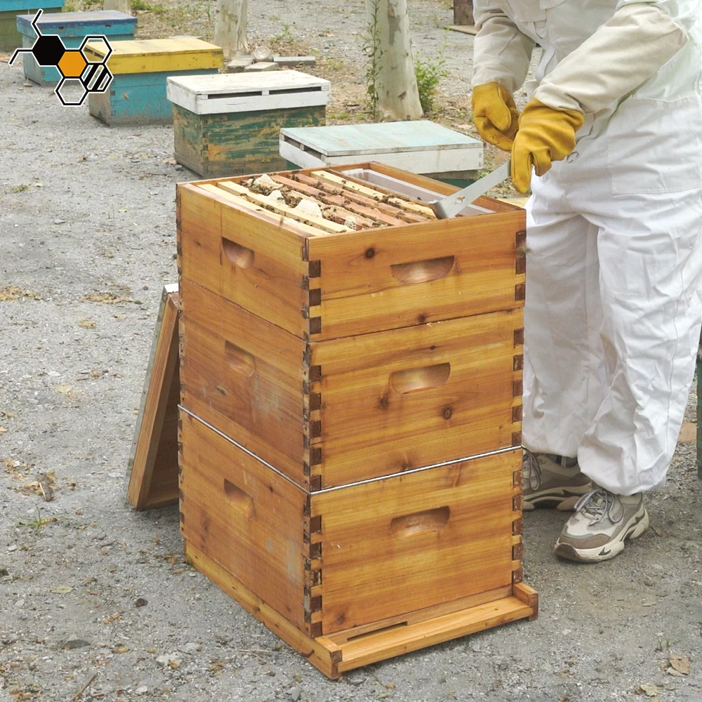 Beekeeping 2/3 Layers 10 Frame Langstroth Coated Honey Bee Hive