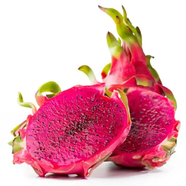 Red Dragon Fruit High Quality Brand Wholesaler Supplier For Export