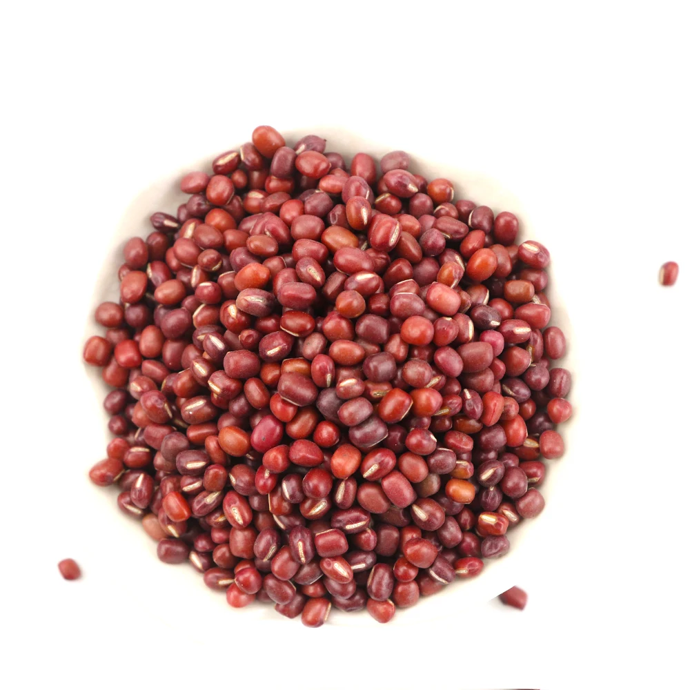 adzuki beans small red bean red bamboo beanfor exporting