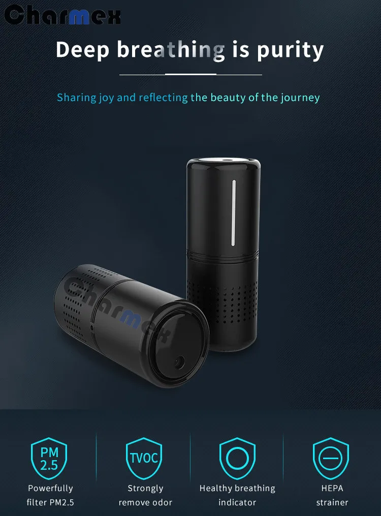 car air purifier