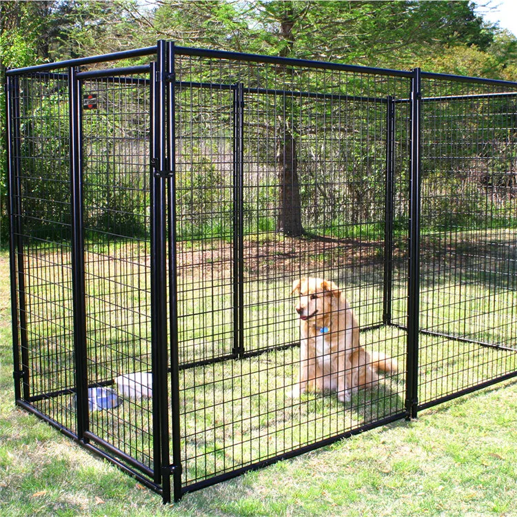 Buy Kennel