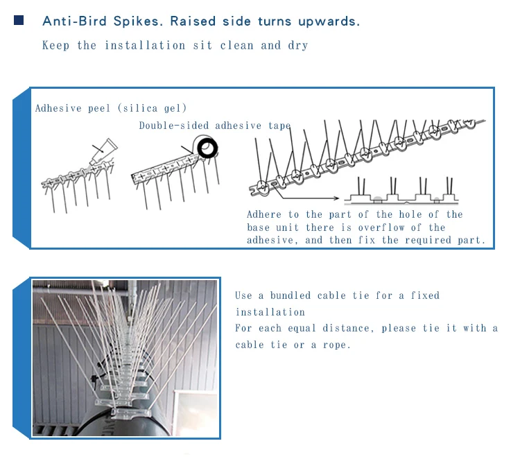 SS Bird Spikes (10)